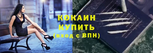 молекула духа Богородск