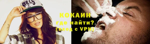 сатива Богданович
