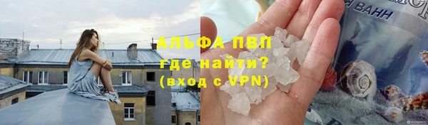 молекула духа Богородск