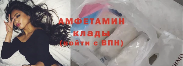молекула духа Богородск