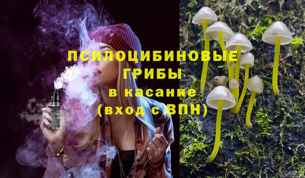 молекула духа Богородск