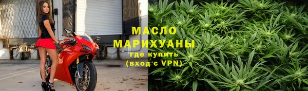 сатива Богданович