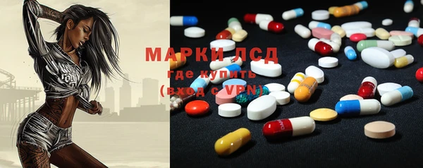 PSILOCYBIN Богородицк